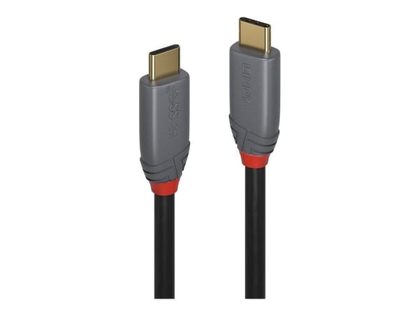 Lindy Anthra Line - USB-kabel - USB-C (hann) til USB-C (hann) - USB 3.2 Gen 2x2 - 1 m - rund - svart