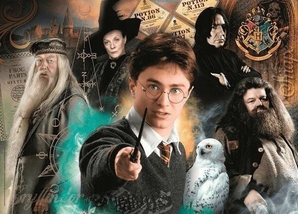 Clementoni Wizarding world Harry Potter, 500 stykker, Fjernsyn/ filmer, 18 år