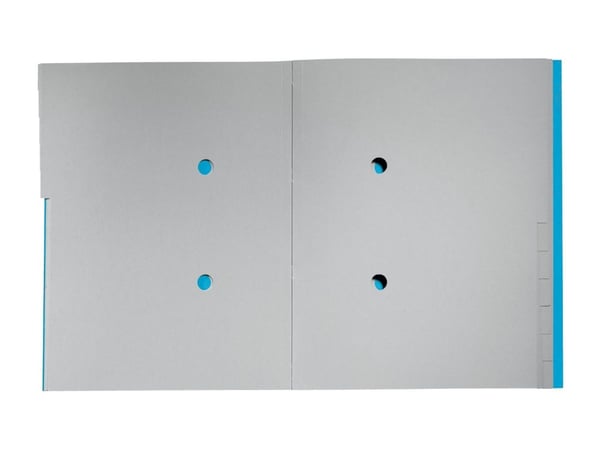 Leitz Recycle - Klassifikasjonsmappe - 12 deler - for A4 (210 x 297 mm) - med fliker - blå