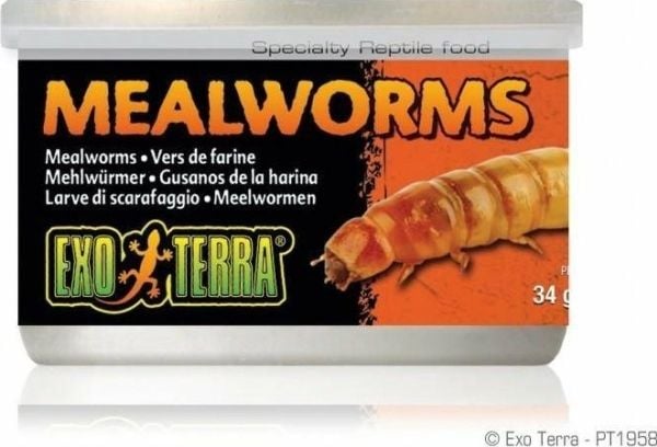 Hagen HAGEN-EXO TERRA pose med melorm 34 g