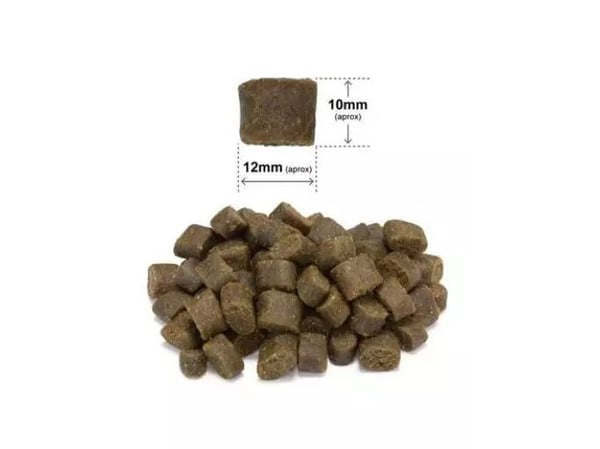 ARQUIVET Frisk and med havfisk - halvfugtigt hundefoder - 10 kg