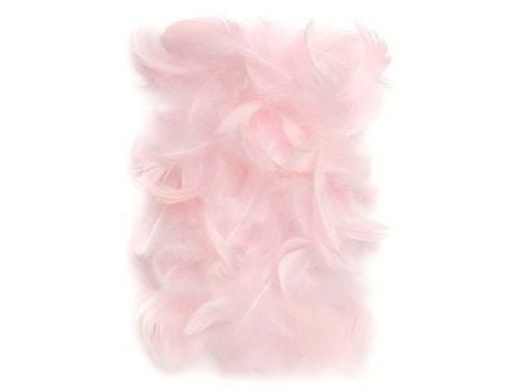 DP Craft Dekorfjær 5-12 cm Rosa CEPI-018