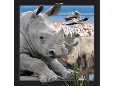 Verdt å holde 3D Rhino-postkort (1068804)