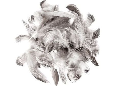 DP Craft fjær fra and 5–12 cm, 5 g Dalprint