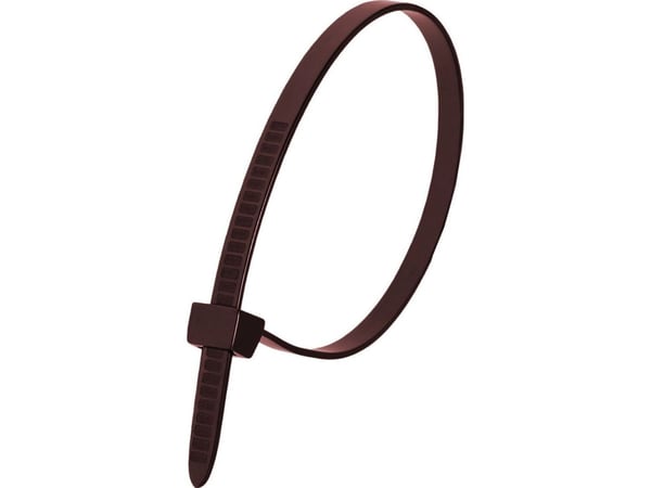 Dedra nylon buntband bruna 4,8x300 mm (100 st.)