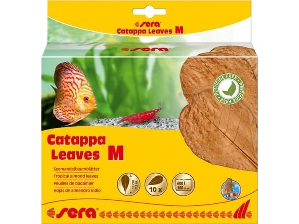 sera Catappa Leaves, Brun, Ferskvann, 10 stykker, Tyskland