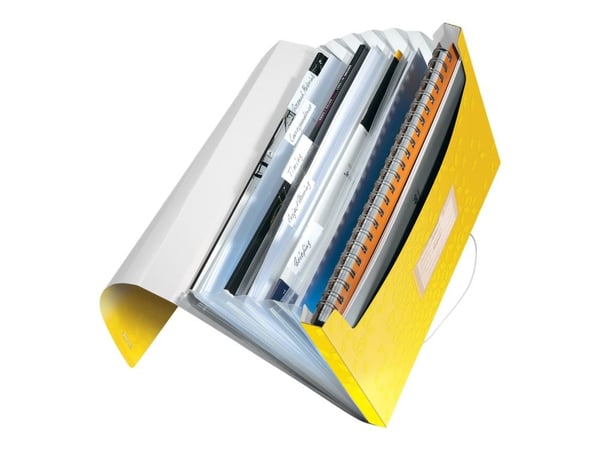 Leitz WOW - Dokumentmappe - kan utvides - 6 rom - 6 deler - for A4 (210 x 297 mm) - kapasitet: 250 ark - med fliker