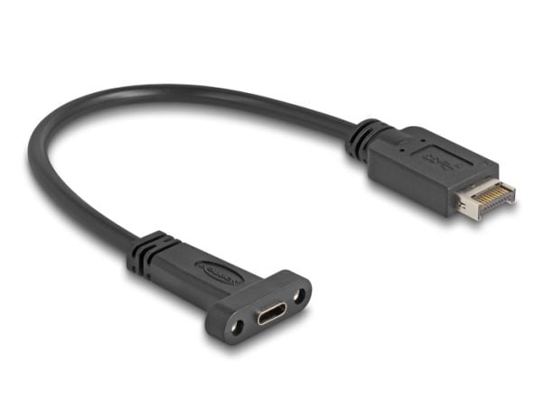 Delock - USB-internkabel - 24 pin USB-C (hunn) panelmonterbar til 20 pin Key A (hunn) - 5 V - 1.5 A - 25 cm - up to 10 Gbps data transfer rate