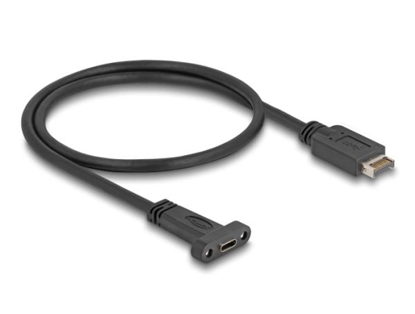 Delock - USB-adapterkabel - 20 pin USB Type E (hann) Key A til 24 pin USB-C (hunn) panelmonterbar - 5 V - 1.5 A - 50 cm - up to 10 Gbps data transf...