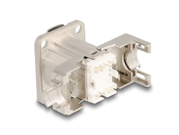 Delock - Påknipsbar mulighetsmodulfrontplate - D-type - panelmonterbar - CAT 6a - STP - RJ-45 - sølv