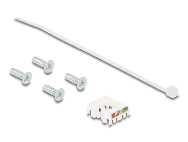 Delock - Påknipsbar mulighetsmodulfrontplate - D-type - panelmonterbar - CAT 6a - STP - RJ-45 - sølv