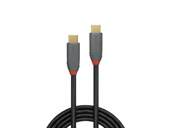 Lindy 2m USB 3.2 Typ C Kabel 5A PD Anthra Line (36903)