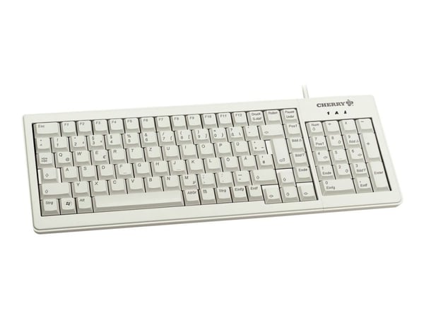 CHERRY ML5200 - Tastatur - PS/2, USB - USA - lysegrå