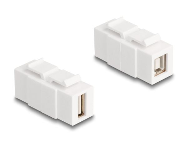 Delock - Modulinnlegg (kopling) - female to female, can be installed on both sides - USB 2.0 Type A, USB 2.0 Type B - hvit