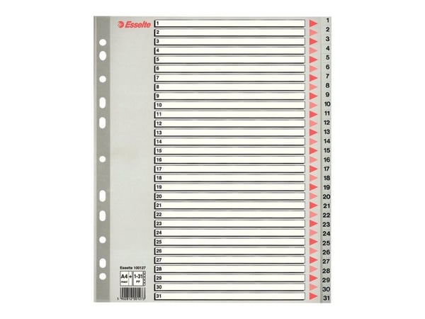 Leitz - Inndeler - 20 deler - fortrykt: A-Z, 1-20 - for A4 (210 x 297 mm) - med fliker - grå