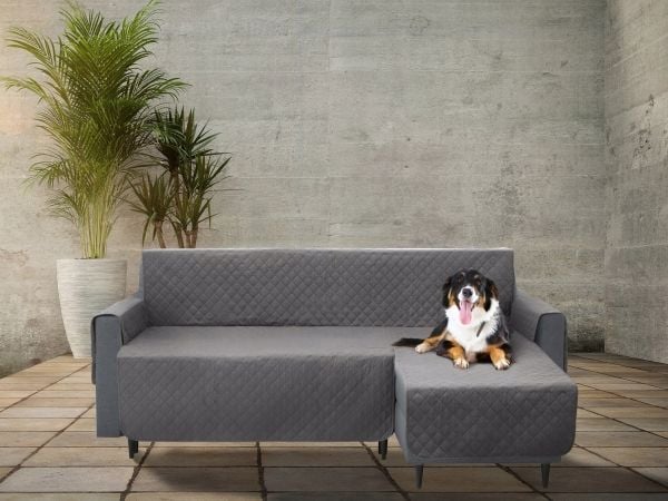 DOGGY 240 cm PARIS KAAPPI VASEMPI HARMAA
