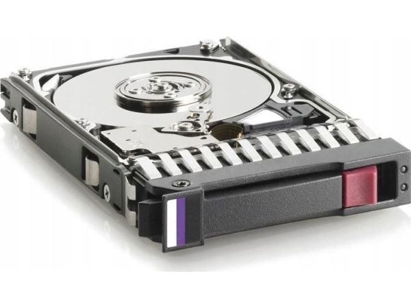 HPE Dual Port - Harddisk - 300 GB - hot-swap - 2.5" - SAS 6Gb/s - 10000 rpm