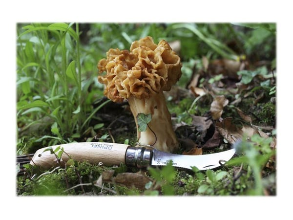 Opinel 3123840012525, Liukuliitospuukko, Ruostumaton teräs, Puu, Puu