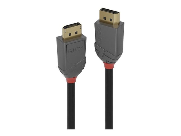 Lindy Anthra Line - DisplayPort-kabel - DisplayPort (hann) til DisplayPort (hann) - DisplayPort 1.2 - 10 m - rund, 4K-støtte - svart
