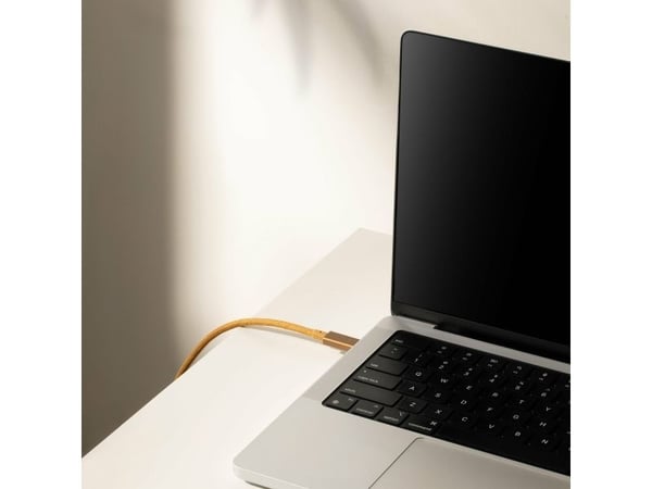 Native Union Belt, 2,4 m, USB C, USB C, USB 2.0, 0,48 Gbit/s, Brun