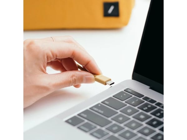Native Union Anchor, 1,8 m, USB C, USB C, Lajittelu, Hvid