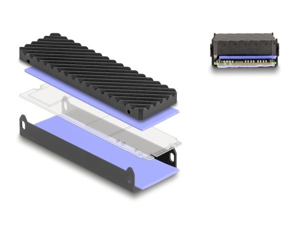 Delock - Drevkabinett - M.2 - M.2 NVMe Card / PCIe (NVMe) - USB-C - grå