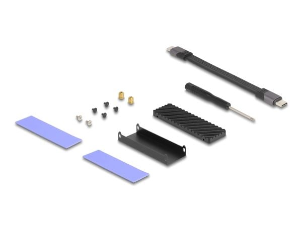 Delock - Drevkabinett - M.2 - M.2 NVMe Card / PCIe (NVMe) - USB-C - grå