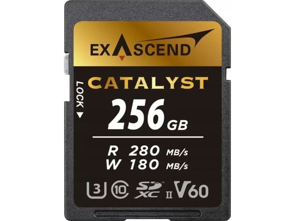 ExAscend minneskort ExAscend Catalyst UHS-II V60 256GB