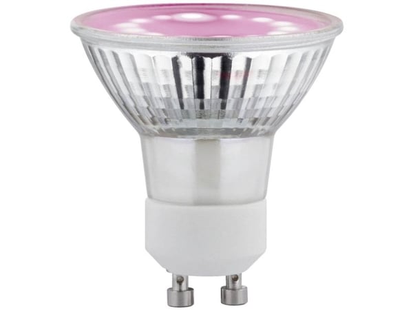 Paulmann 28974, LED-valo, Lasi, Läpinäkyvä, Valkoinen, 4 W, 1100 K, 95 lm
