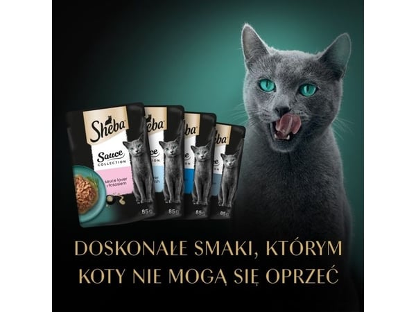 Sheba SHEBA Sauce Collection Fiskesmaker i saus våtfôr til katter i poser 85 g x 40 stk.