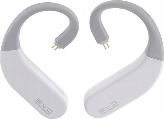 Moondrop EVO true wireless (trådlösa adaptrar)