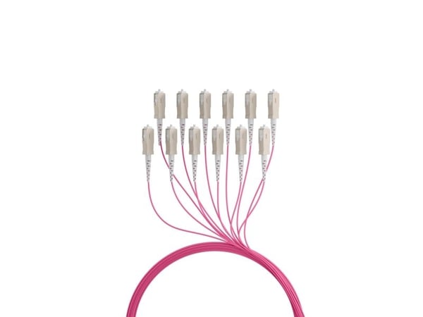 EFB Elektronik O8341S100OM4, 100 m, U-DQ(ZN) BH, OM4, 12x SC, 12x SC
