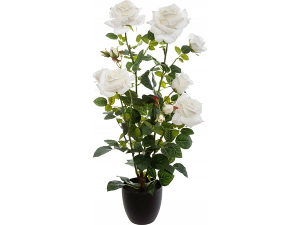 Atmosphera kunstig rose i potte KRZEW RÓZY, 74 cm, hvit Atmosphera kunstig rose i potte KRZEW RÓZY, 74 cm, hvit