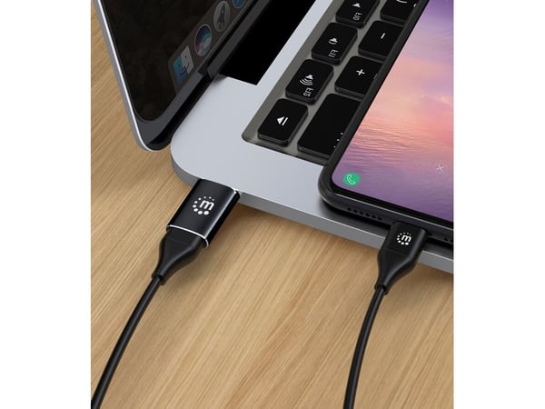 Manhattan 153980, USB A, USB C, Svart