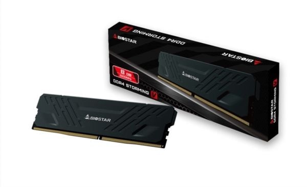 Minne DDR4 Biostar 8GB 3200MHz Heatsink Storming Vseries