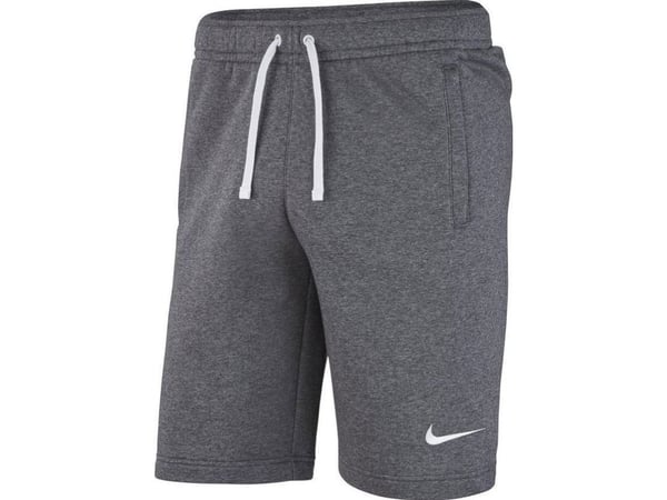 Nike Park 20 fleece shorts CW6910 071