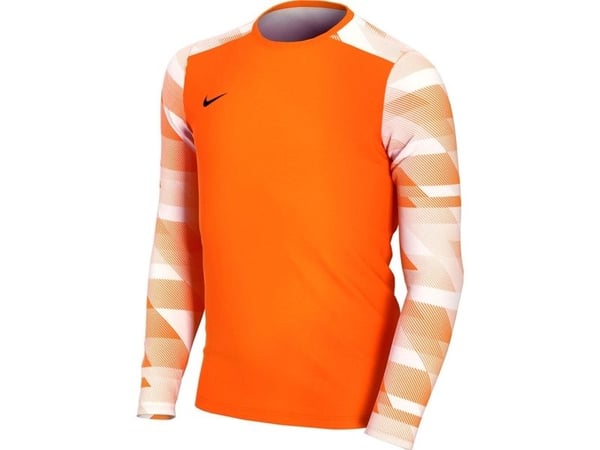 Keepertrøye Nike Dry Park IV JSY LS JR CJ6072-819