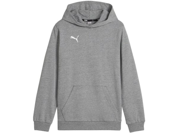 Puma lasten collegepaita Puma Team Goal Casuals Hoddy harmaa 658619 33 140cm