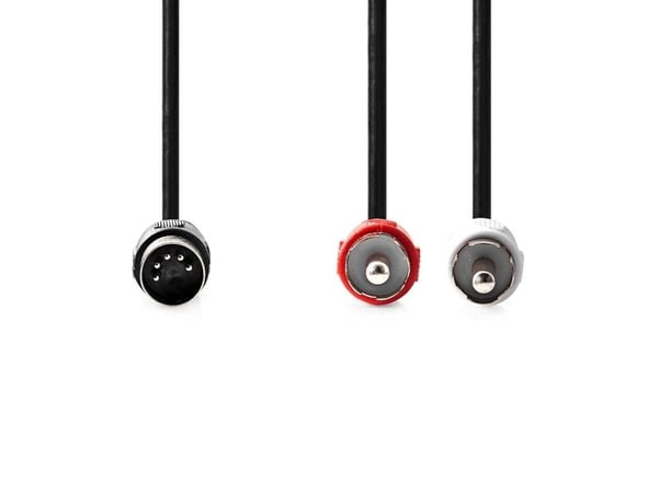 Nedis CAGL20200BK10, DIN (5-pin), Hankjønn, 2 x RCA, Hankjønn, 1 m, Sort