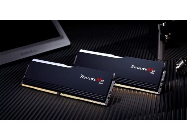 G.Skill Ripjaws M5 RGB - DDR5 - sett - 96 GB: 2 x 48 GB - DIMM 288-pin - 5200 MT/s / PC5-41600 - CL40 - 1.10 V - ikke-bufret - on-die ECC - matt svart