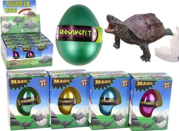 LeanToys Hatching Magic Kilpikonnan muna kasvava 6 cm