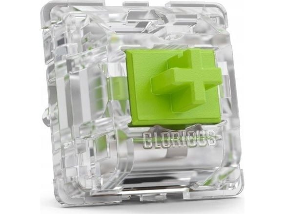 Glorious Raptor - tangentbrytare - clicky, mekanisk (förpackning med 36) (GLO-SWT-RAPTOR-LUBED)