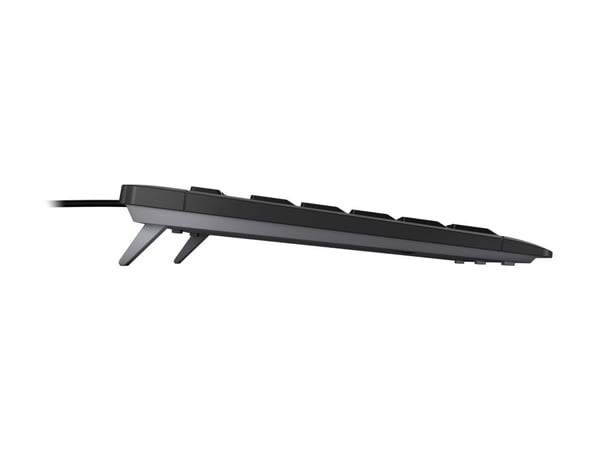 Cherry CHERRY STREAM KEYBOARD TKL USB QWERTY-tastatur engelsk svart