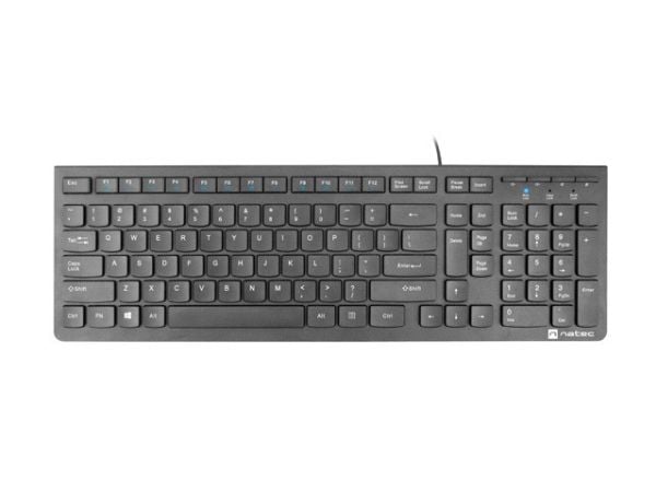NATEC DISCUS 2, Full størrelse (100 og), Koblet med ledninger (ikke trådløs), USB, Membrannøkkelbryter, QWERTY, Sort