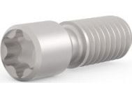 SCHROFF GEWINDESTIFT M2,5X9 T8 100ST (21102980)
