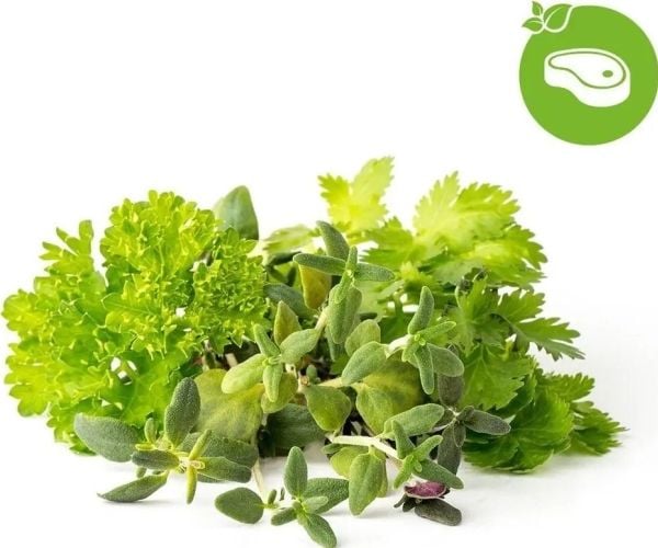 Click &amp; Grow Seeds for smart pot - Yrtit lihaan, 9kpl.