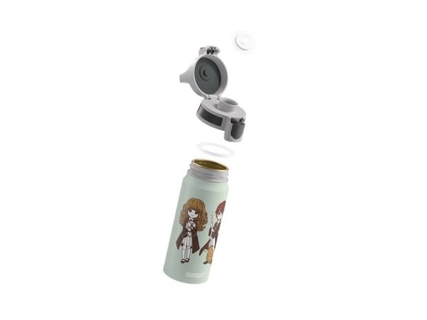 SIGG 6036.10, 600 ml, Daglig bruk, Flerfarget, Aluminium, Voksen, Gutt/Jente