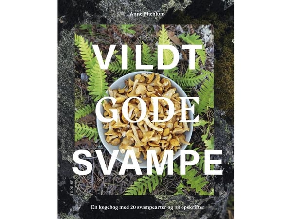 Vilt gode sopp | Anne Mæhlum | Språk: Dansk