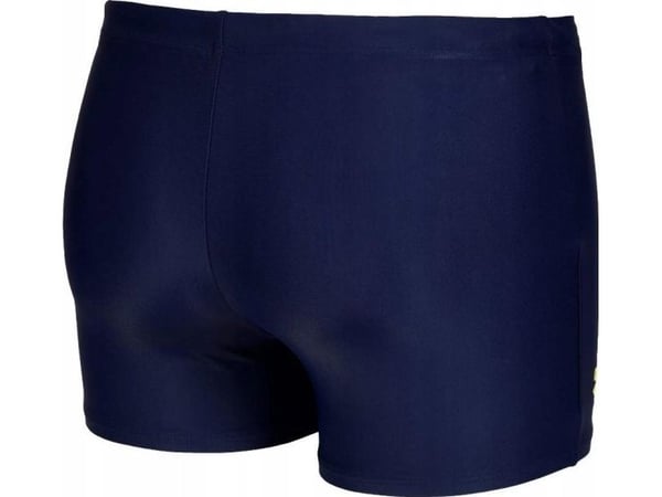 Arena Miesten uintibokserit MEN'S SWIM SHORT GRAPHIC GRAPHIC