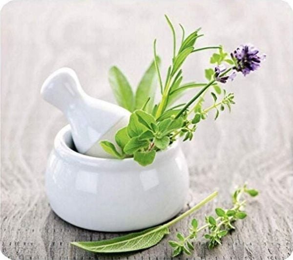 Wenko glass beskyttelsesplate HERB GARDEN til komfyr – stor, WENKO